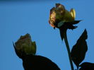 DSCN0671
