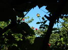 DSCN0689