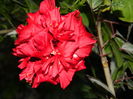 DSCN0701