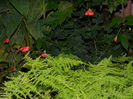 DSCN0711