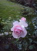 DSC07314
