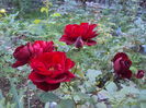 DSC07319