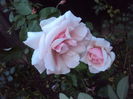 DSC07402