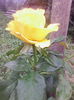 IMG_20140913_095741