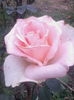 IMG_20140913_095756