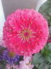 IMG_20140913_095930