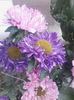 IMG_20140913_095937