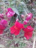 IMG_20140913_100048