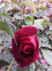 IMG_20141006_105129