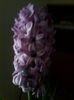 IMG_20150224_123449