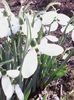 IMG_20150228_143222