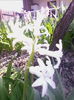 IMG_20150413_135723