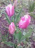 IMG_20150418_171531