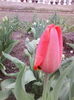 IMG_20150418_171832