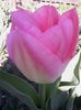 IMG_20150423_164854