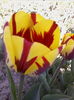 IMG_20150423_164908