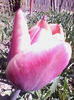 IMG_20150423_165008