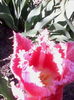 IMG_20150423_165218