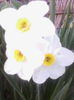 IMG_20150425_201955