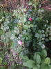 IMG_20150608_211255