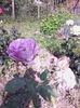IMG_20150628_092259