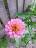 IMG_20150718_205536