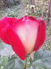 IMG_20151004_163001