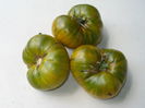 TOMATE CHEROKEE GREEN