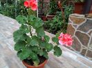 IMG_20151013_082545