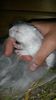 20150927_223518