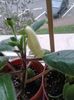 20151015_094241