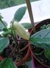 20151015_094249