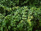 DSCN0834