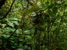 DSCN0896