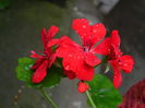 DSCN0901