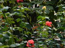 DSCN0902