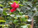 DSCN0906