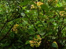 DSCN0907