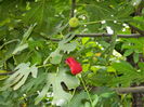 DSCN0907e
