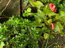 DSCN0909f