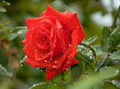 DSCN0916