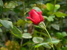 DSCN0922