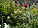 DSCN0927
