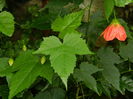 DSCN0927j