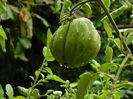 DSCN0931