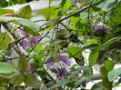 DSCN0940