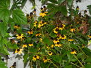 DSCN0943