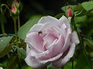 DSCN0944p