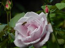 DSCN0945