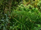 DSCN0950